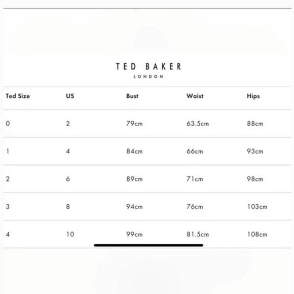 NEW Ted Baker Harrpa Raspberry Ripple Pleated Floral Midi Skirt Light Blue - Picture 12 of 12